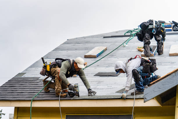 Professional Storm Damage Roof Repair technician working in Shelton, CT